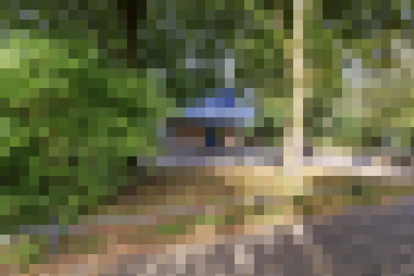 Steynlaan 116 Ermelo thumbnail 57