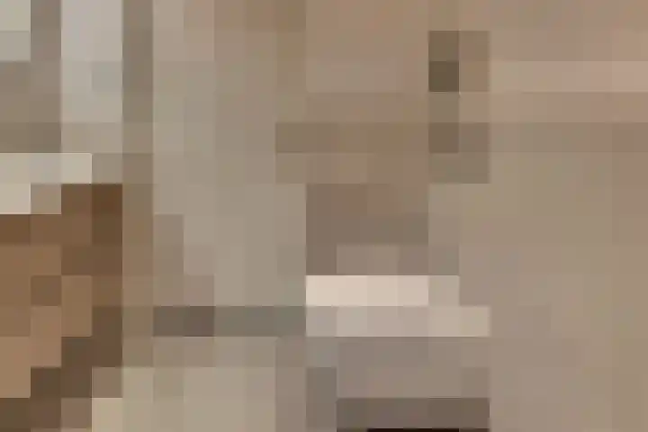 Steynlaan 120 Ermelo thumbnail 37