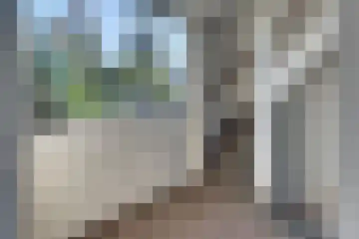 Steynlaan 120 Ermelo thumbnail 38