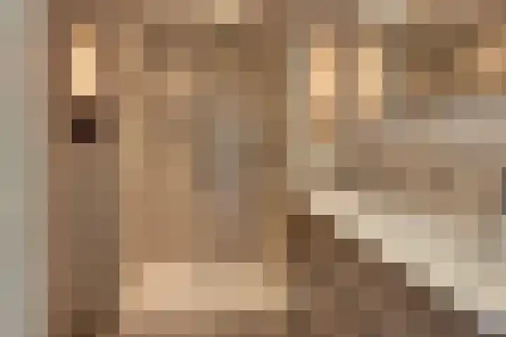 Steynlaan 120 Ermelo thumbnail 4
