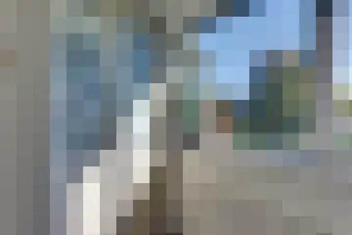 Steynlaan 120 Ermelo thumbnail 40