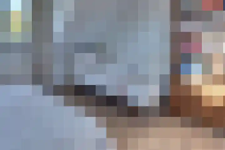 Steynlaan 120 Ermelo thumbnail 47