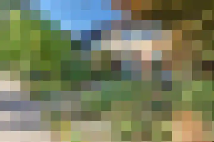 Steynlaan 120 Ermelo thumbnail 5
