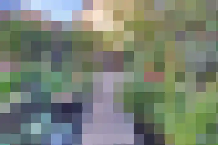 Steynlaan 120 Ermelo thumbnail 60