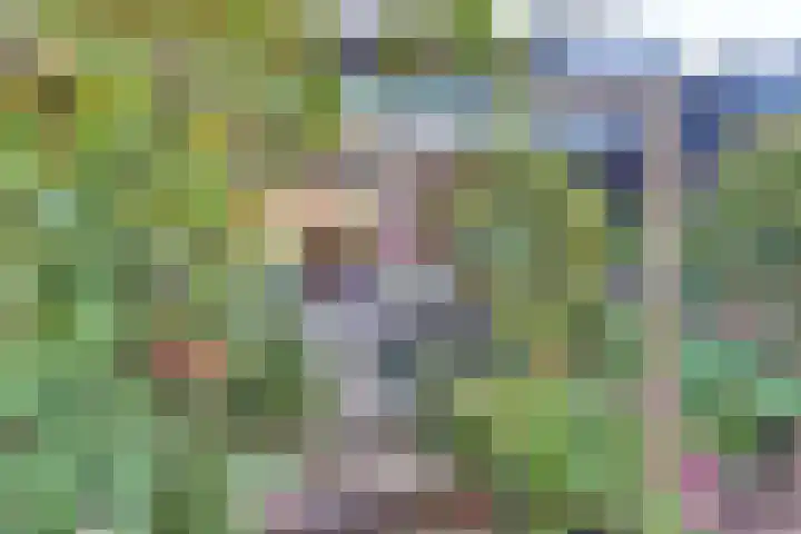 Steynlaan 120 Ermelo thumbnail 64