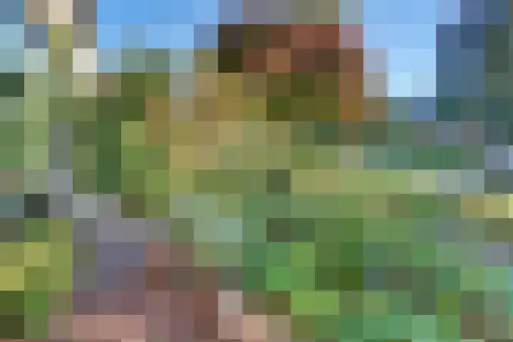 Steynlaan 120 Ermelo thumbnail 7