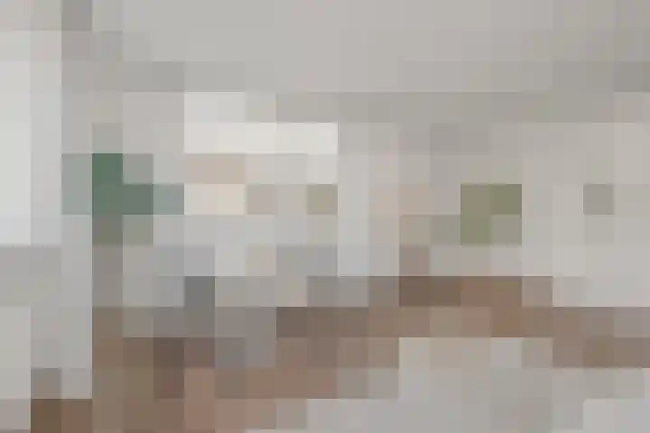 Steynlaan 19 B Zeist thumbnail 8