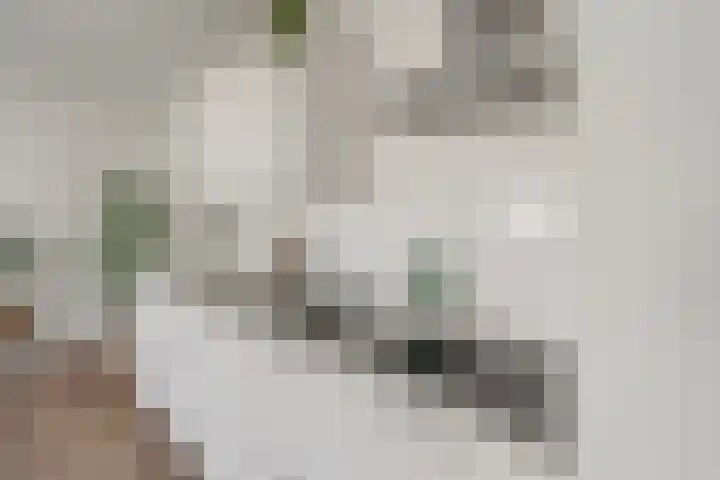 Steynlaan 19 B Zeist thumbnail 9