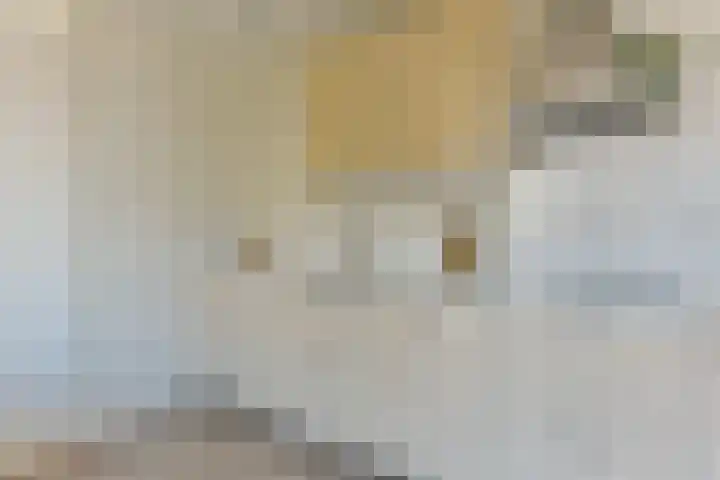 Steynlaan 19 F Zeist thumbnail 12