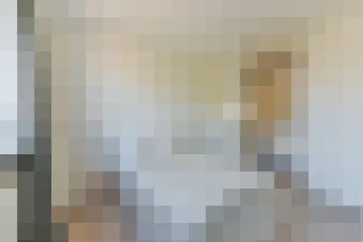 Steynlaan 19 F Zeist thumbnail 16