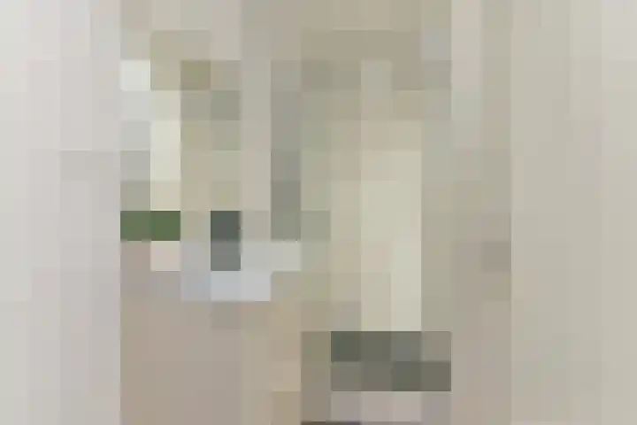 Steynlaan 19 F Zeist thumbnail 17