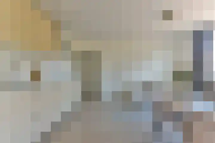 Steynlaan 19 F Zeist thumbnail 19
