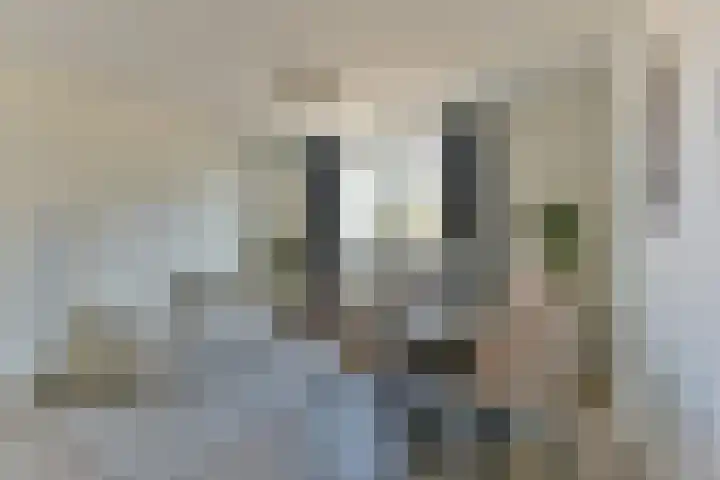 Steynlaan 19 F Zeist thumbnail 6