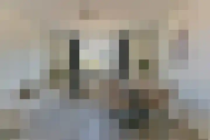 Steynlaan 19 F Zeist thumbnail 7