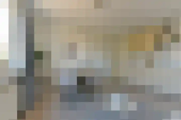 Steynlaan 19 F Zeist thumbnail 8