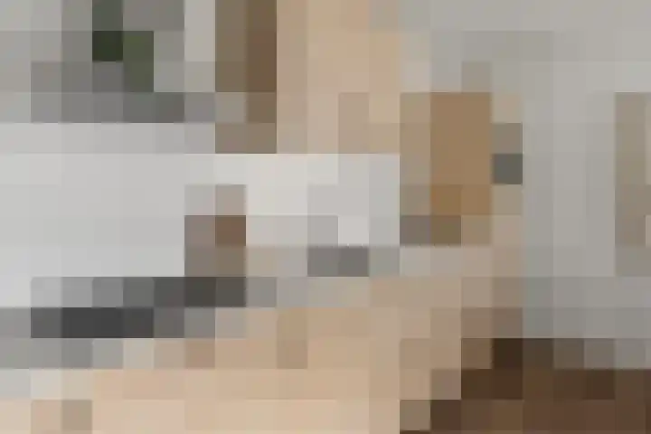 Steynlaan 19 H Zeist thumbnail 10