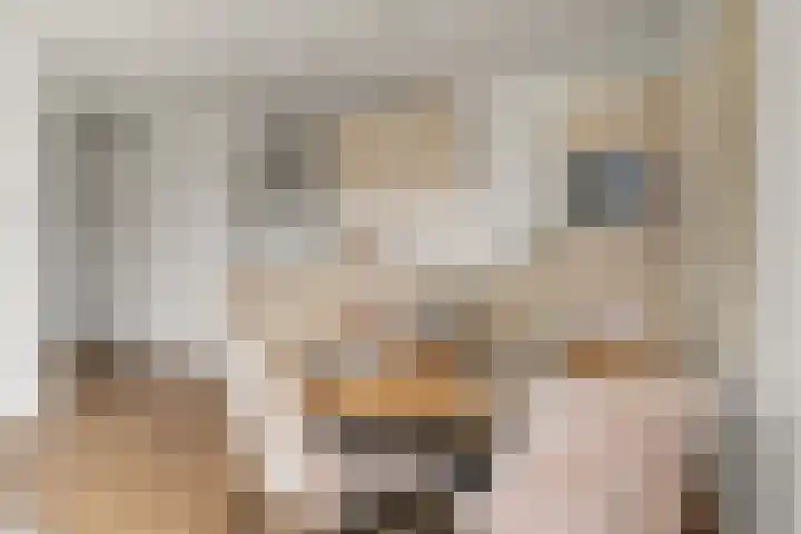 Steynlaan 19 H Zeist thumbnail 12