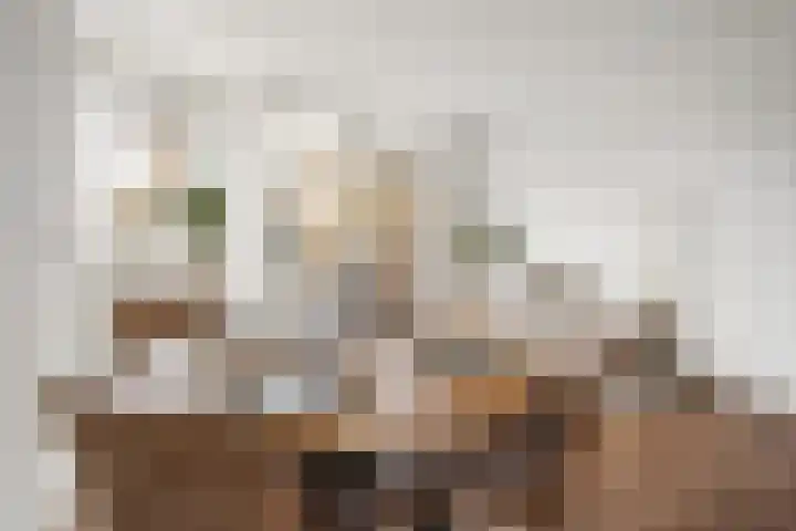Steynlaan 19 H Zeist thumbnail 15
