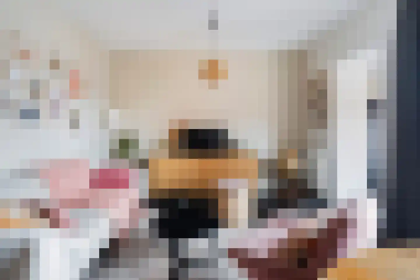 Steynlaan 23 A Zeist thumbnail 12