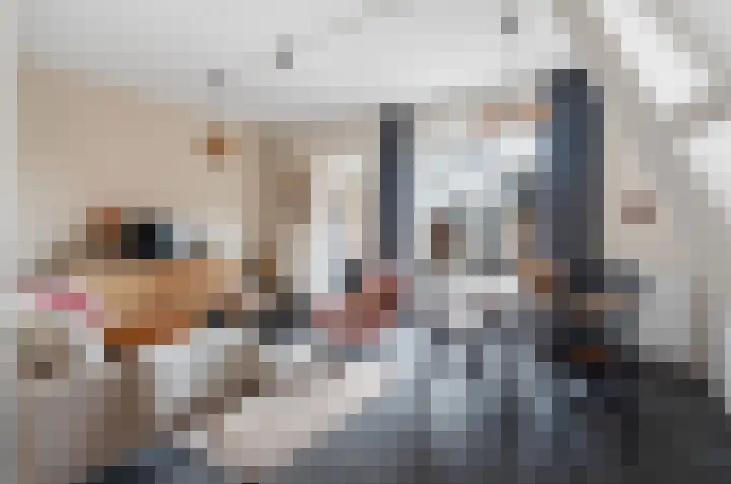 Steynlaan 23 A Zeist thumbnail 16