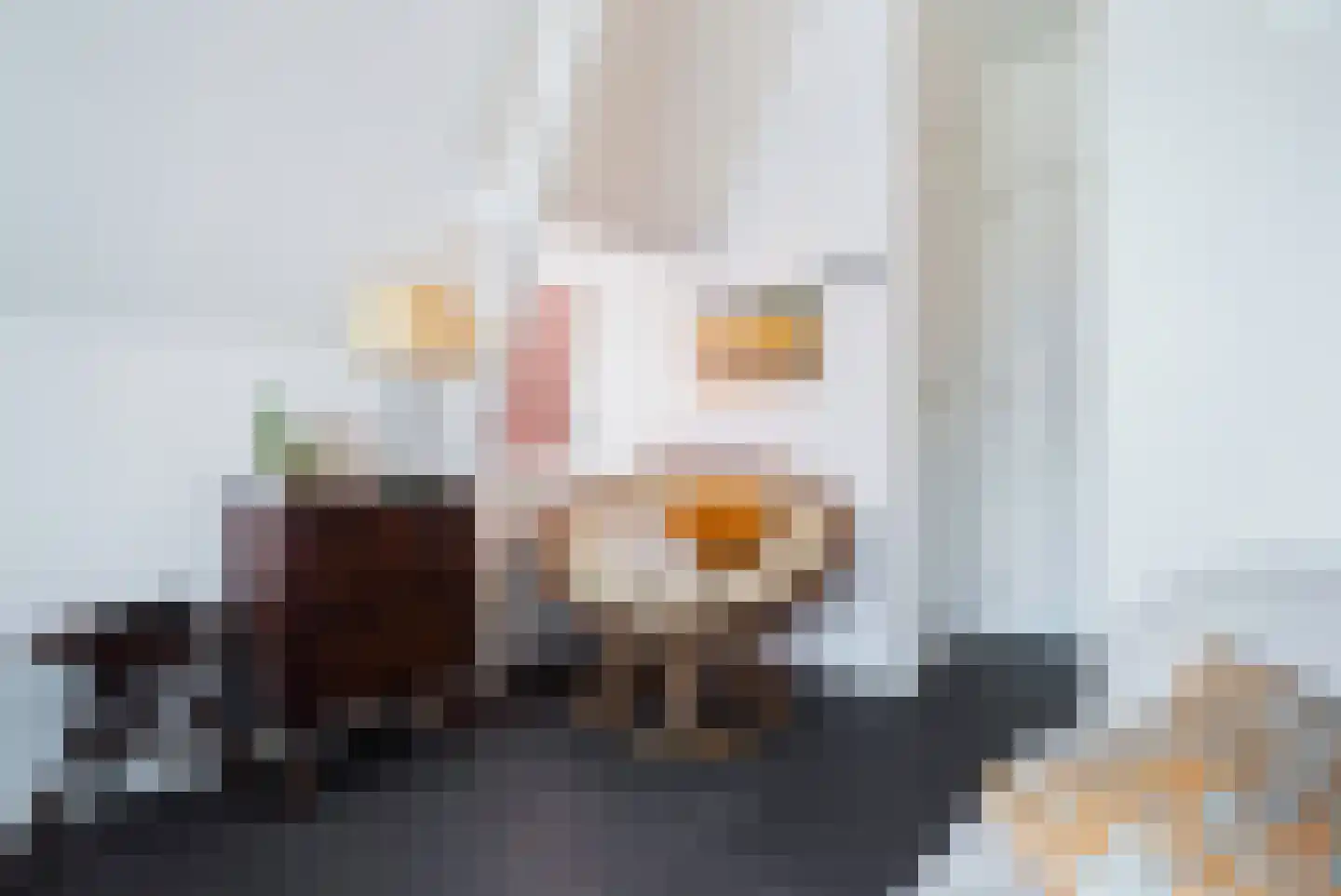 Steynlaan 23 A Zeist thumbnail 21