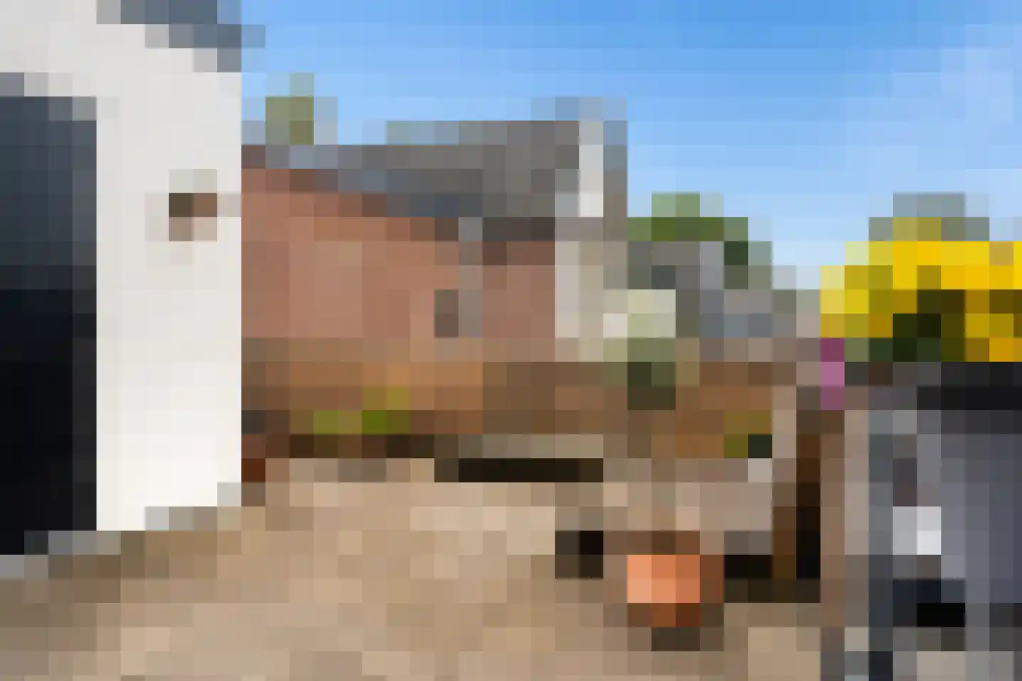 Steynlaan 23 A Zeist thumbnail 33