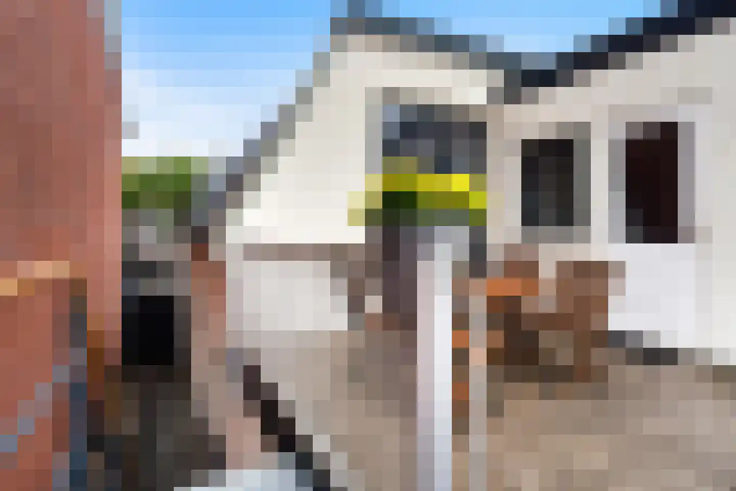 Steynlaan 23 A Zeist thumbnail 34