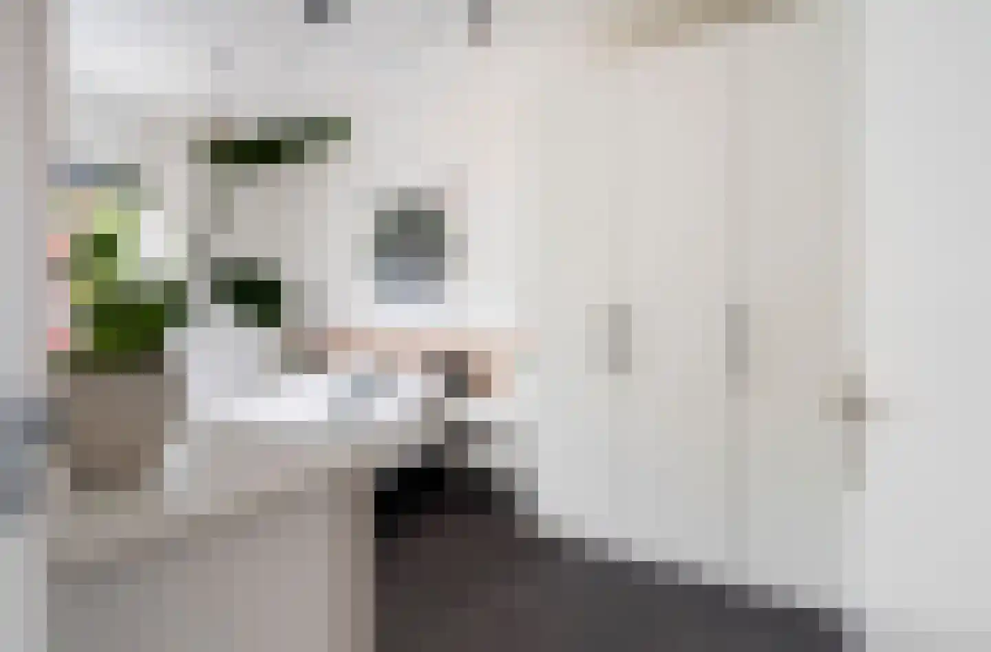 Steynlaan 23 A Zeist thumbnail 35