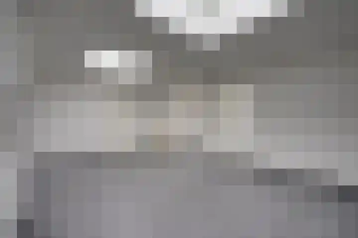 Steynlaan 26 A Zeist thumbnail 11