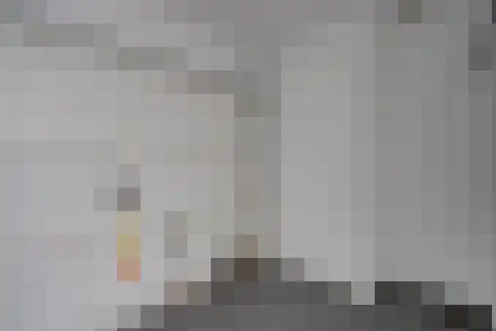 Steynlaan 26 A Zeist thumbnail 16