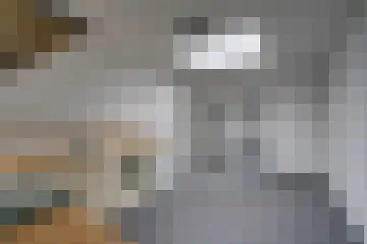 Steynlaan 26 A Zeist thumbnail 5