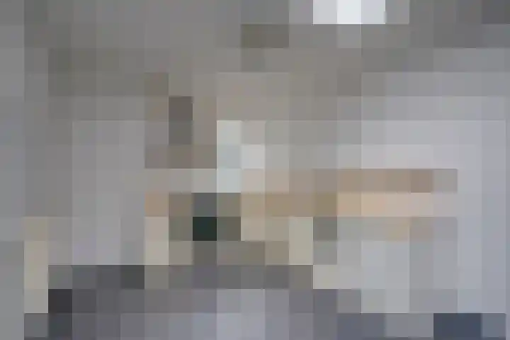 Steynlaan 26 A Zeist thumbnail 6