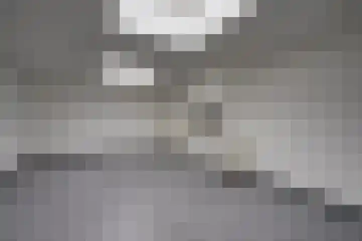 Steynlaan 26 A Zeist thumbnail 8
