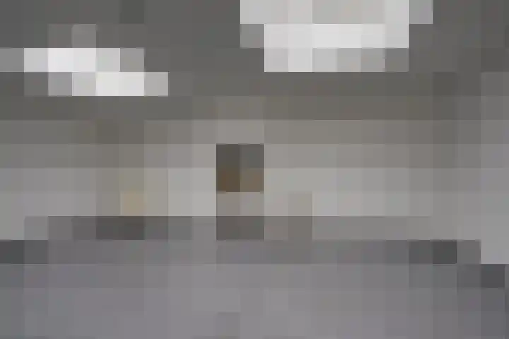 Steynlaan 26 A Zeist thumbnail 9