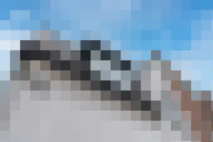 Steynlaan 26 B Zeist thumbnail 4