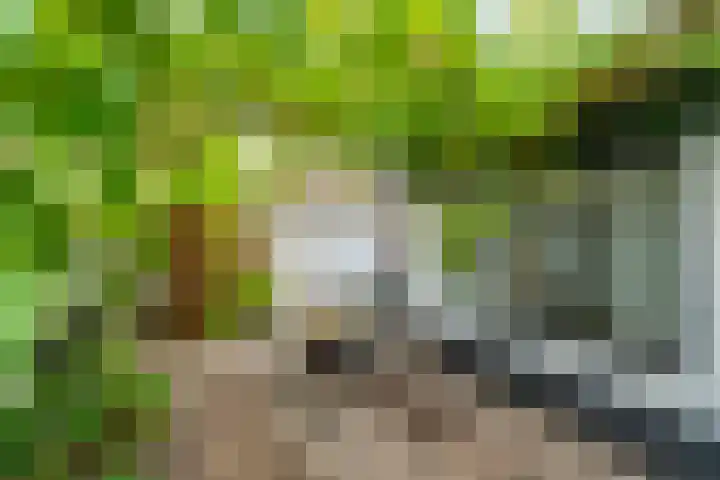 Steynlaan 26 B Zeist thumbnail 5