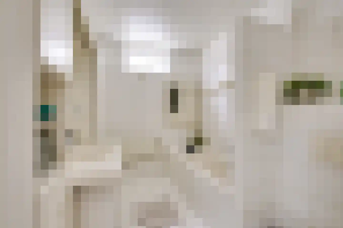 Steynlaan 32 Zeist thumbnail 20