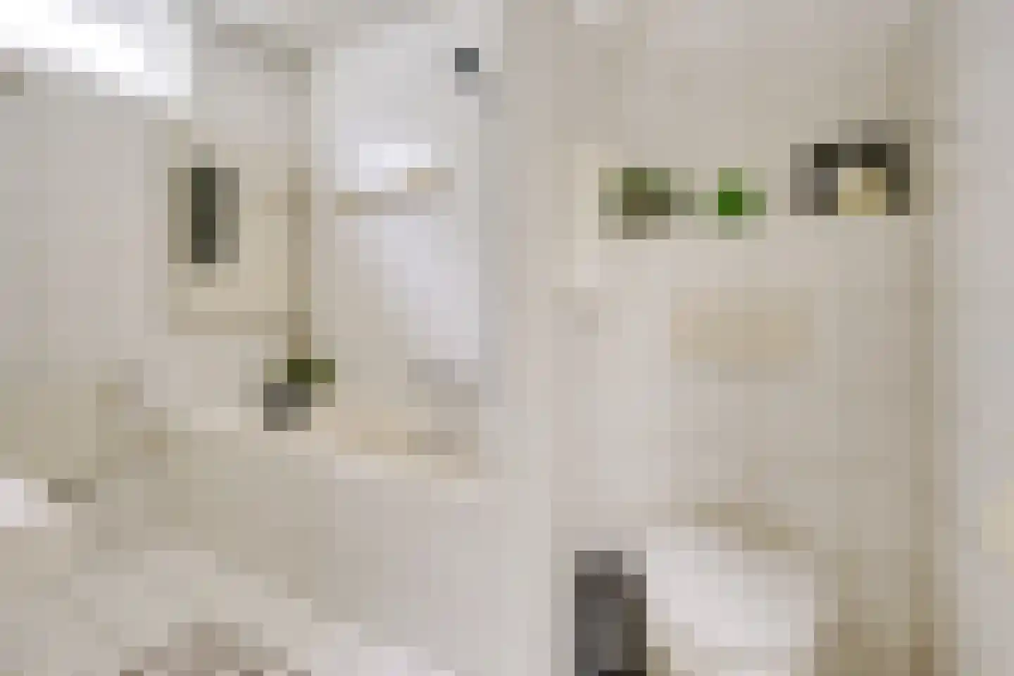 Steynlaan 32 Zeist thumbnail 21