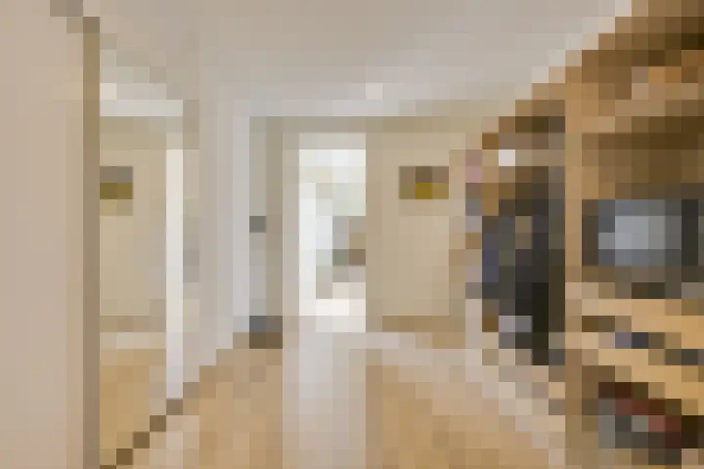 Steynlaan 32 Zeist thumbnail 22
