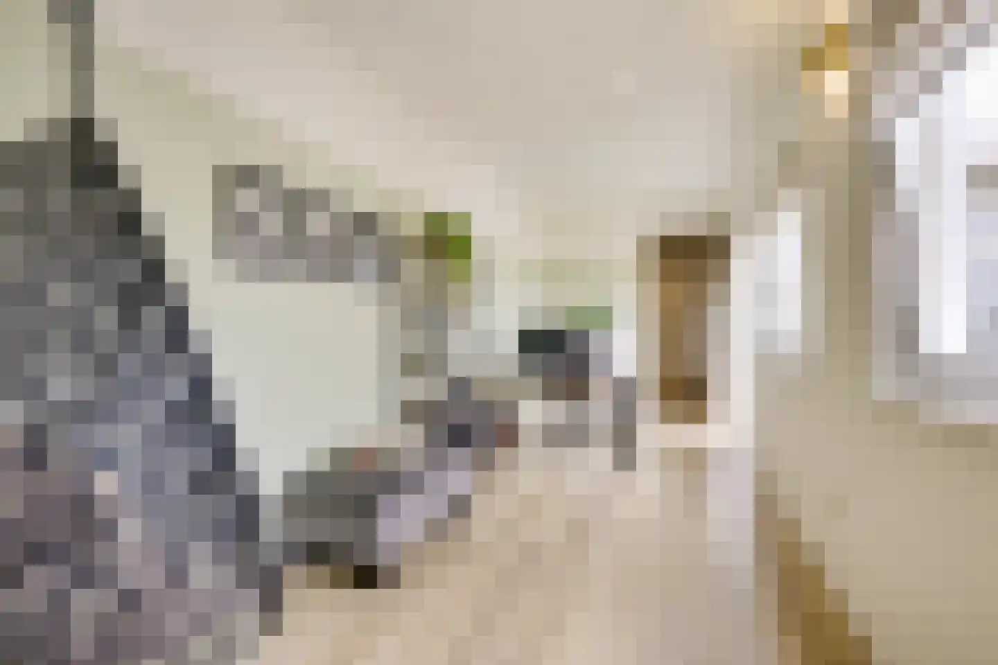 Steynlaan 32 Zeist thumbnail 24