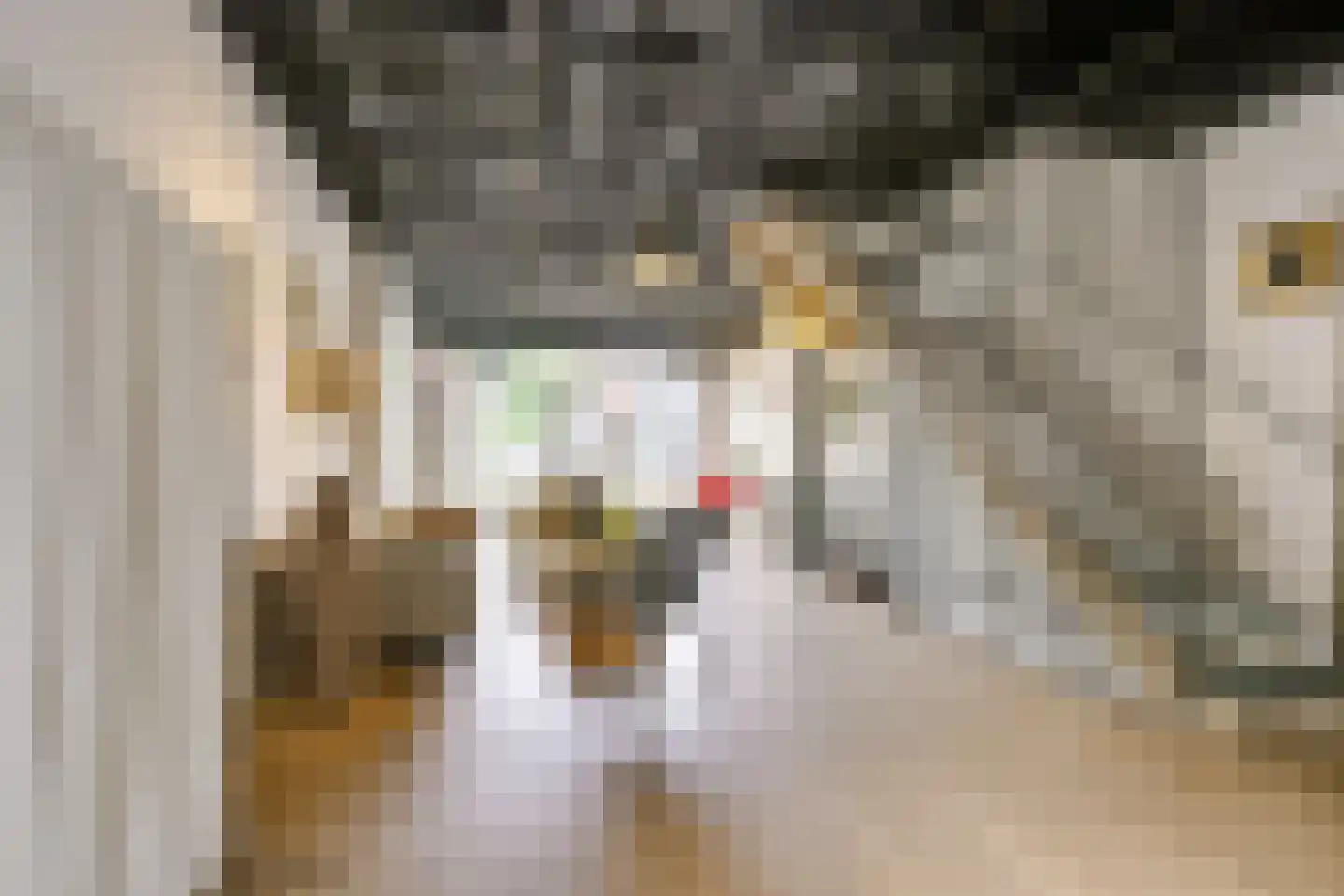 Steynlaan 32 Zeist thumbnail 6
