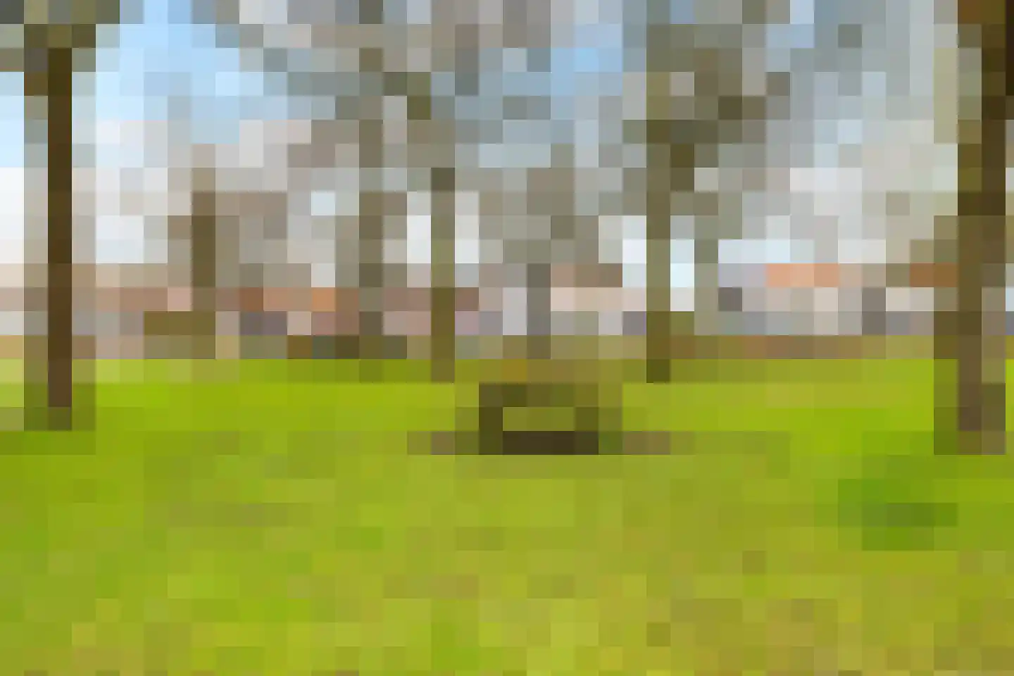 Steynlaan 36 Ermelo thumbnail 38