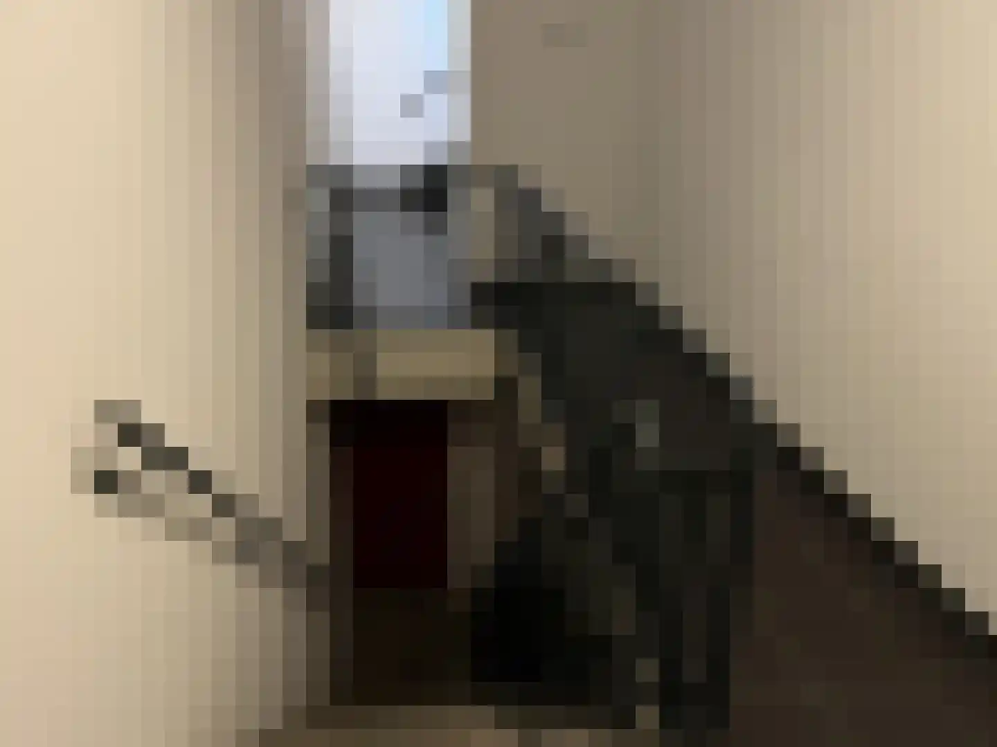 Steynlaan 36 Zeist thumbnail 25