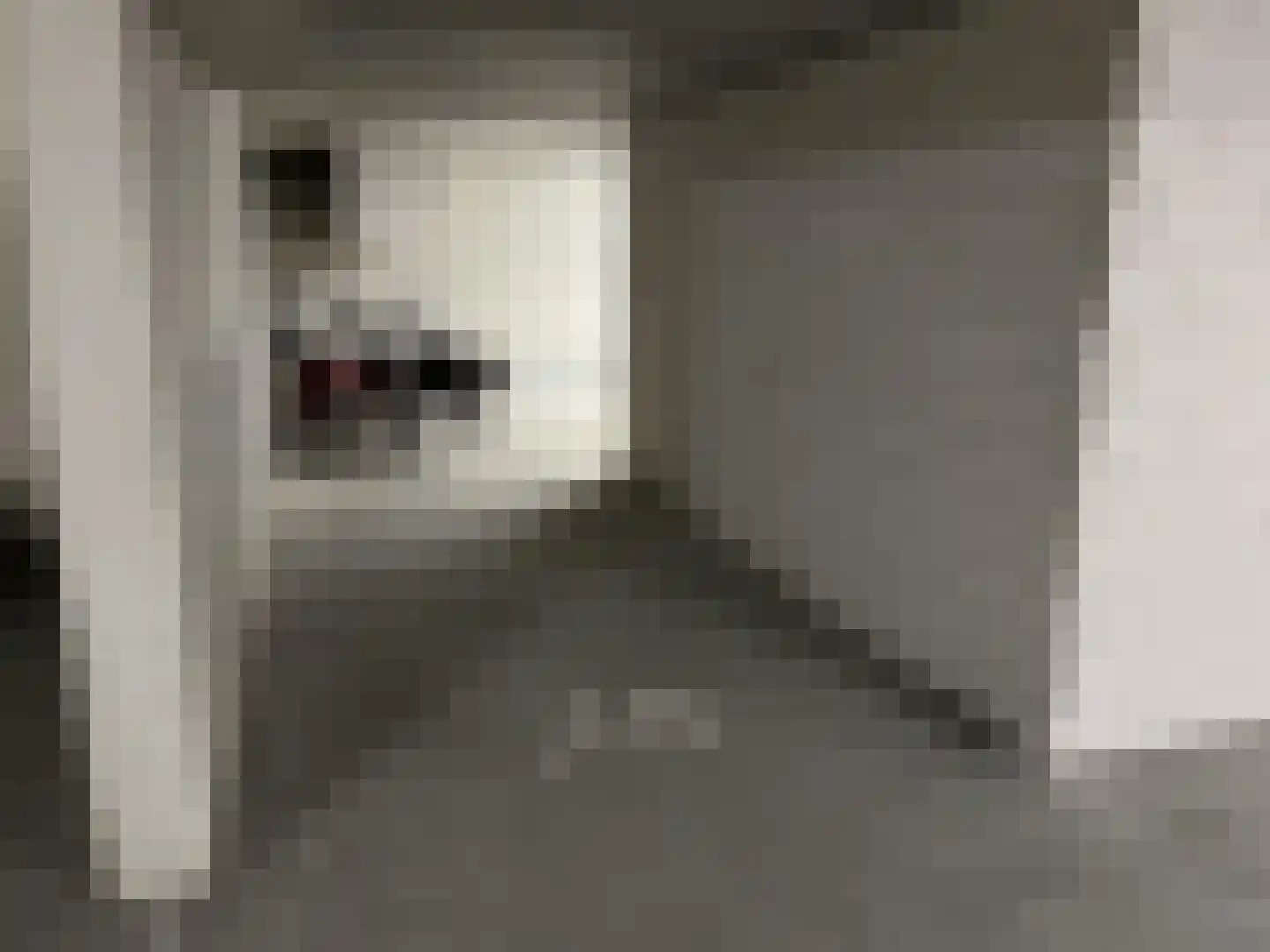 Steynlaan 36 Zeist thumbnail 36