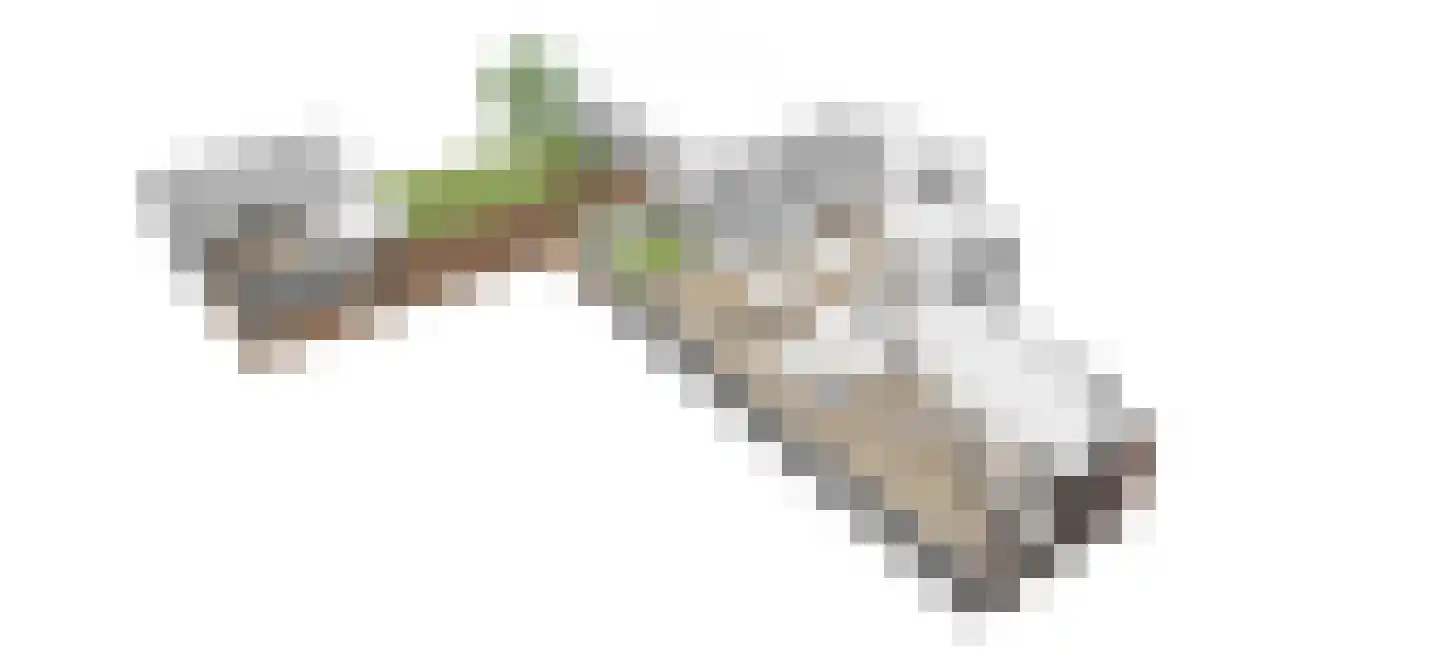 Steynlaan 36 Zeist thumbnail 38