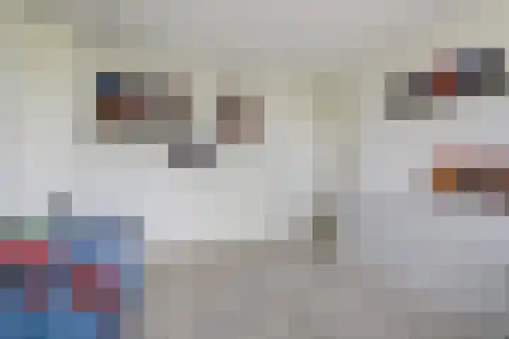 Steynlaan 41 Ermelo thumbnail 25