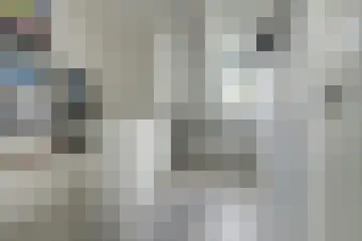Steynlaan 41 Ermelo thumbnail 32