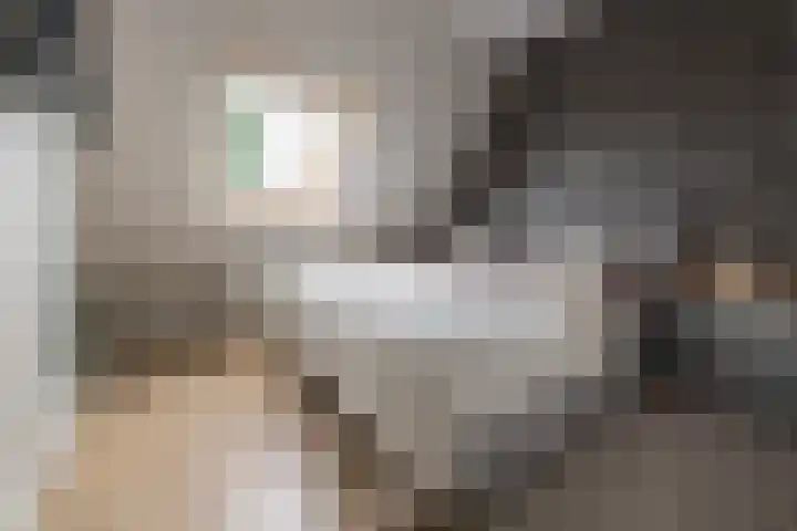 Steynlaan 42 A Zeist thumbnail 10