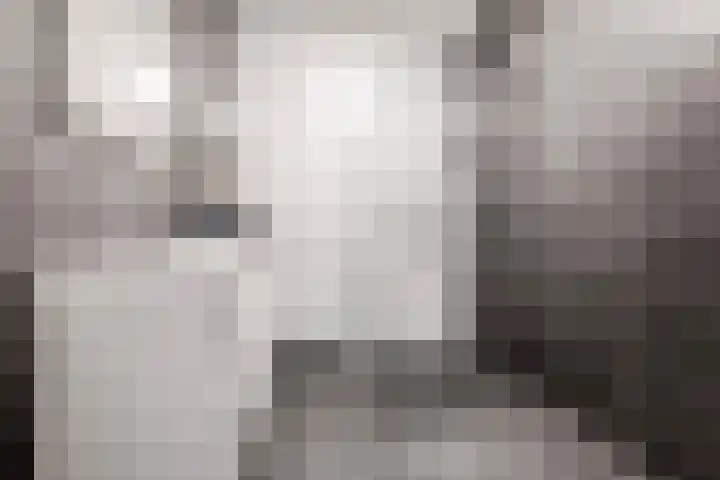 Steynlaan 42 A Zeist thumbnail 11