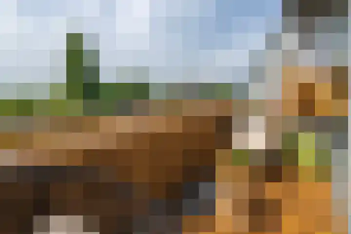Steynlaan 42 A Zeist thumbnail 14